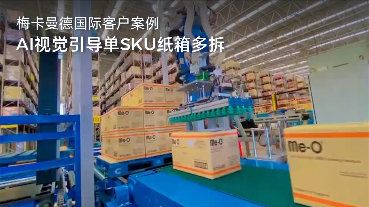 AI視覺引導(dǎo)單SKU紙箱多拆